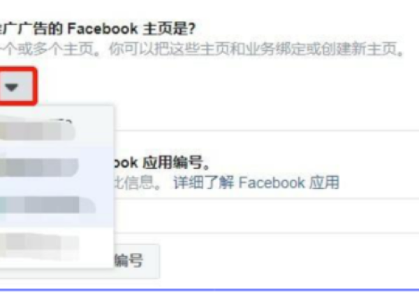 Facebook开户常见问题解答