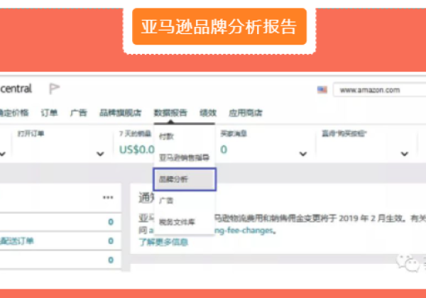 Amazon全新品牌分析报告的强大功能