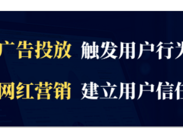 线上广告投放 vs 网红营销，跨境电商不可不知的6个关键区别