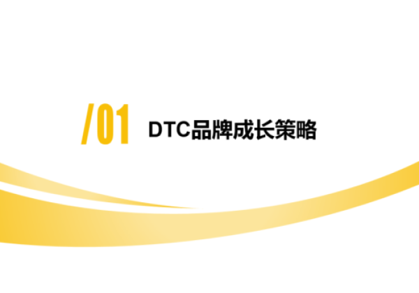 DTC品牌独立站多渠道流量运营策略私享会