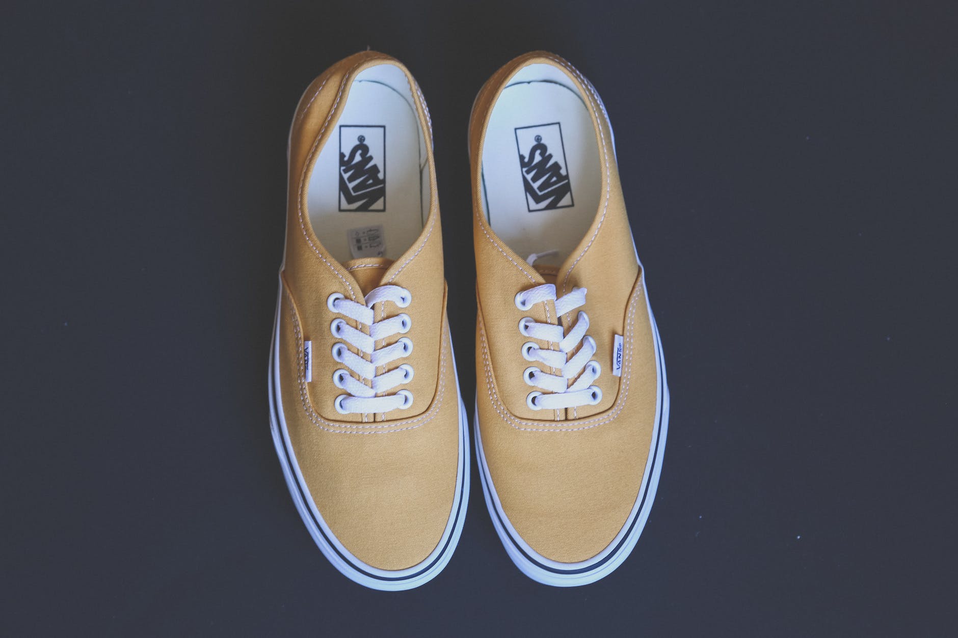 photo of pair of vans sneakers
