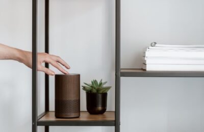 a person holding a brown speaker