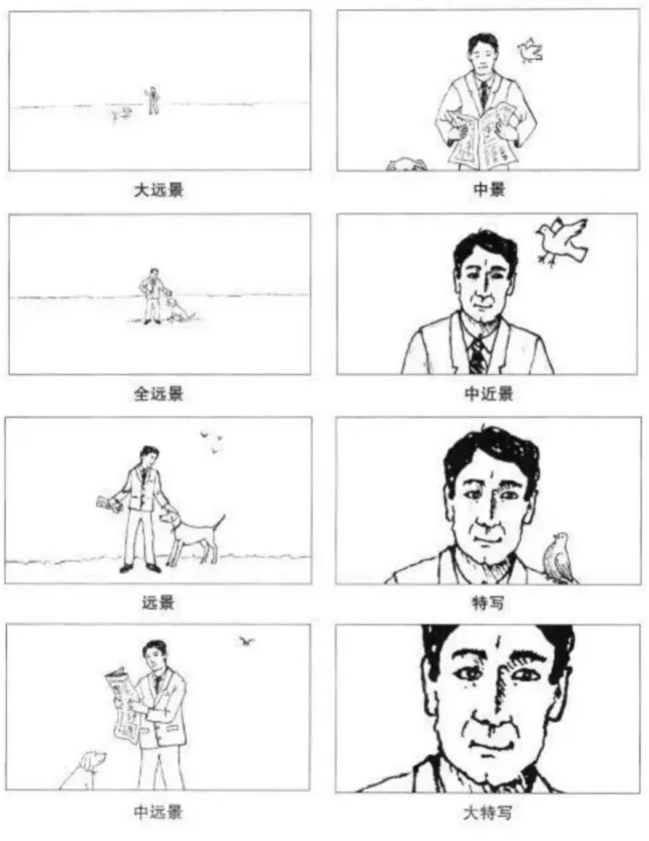 TikTok直播配图 15