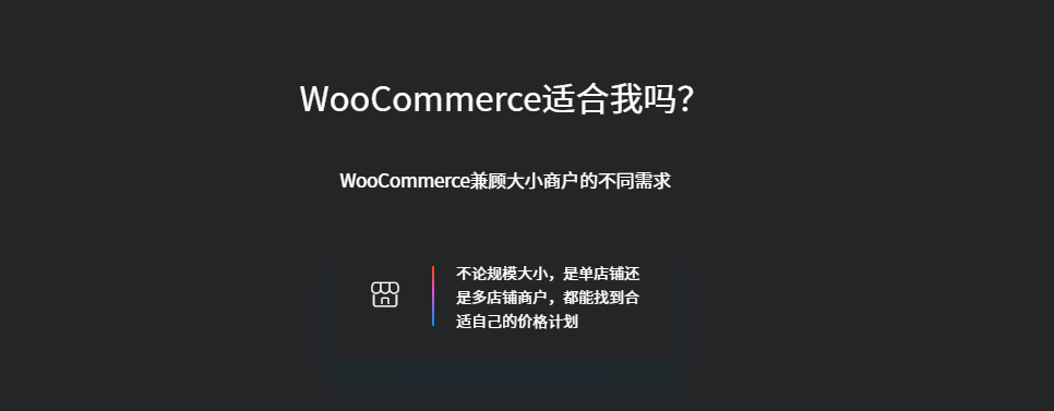 独立站运营配图 2