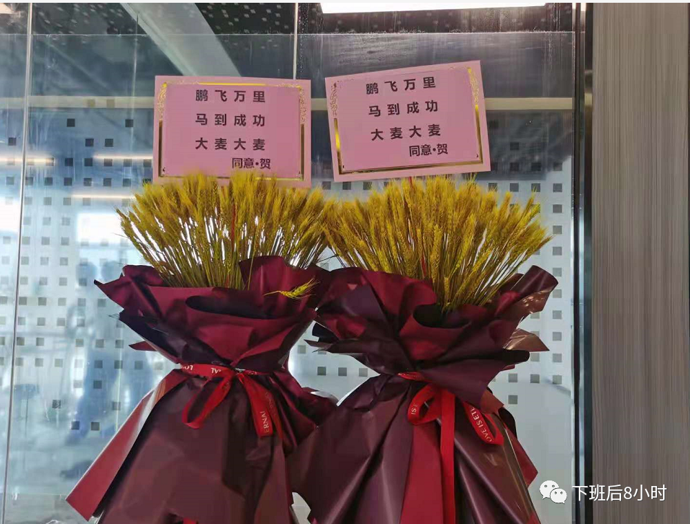 南溪随笔配图 11