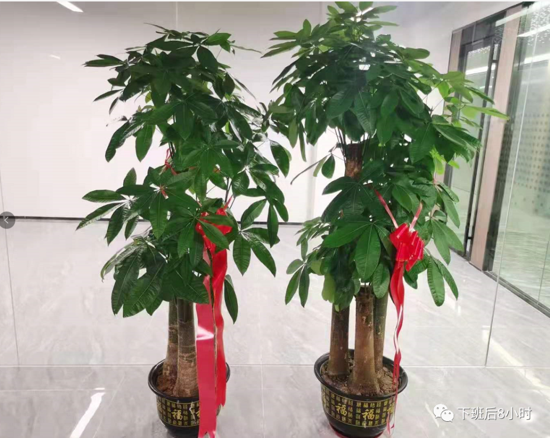 南溪随笔配图 15