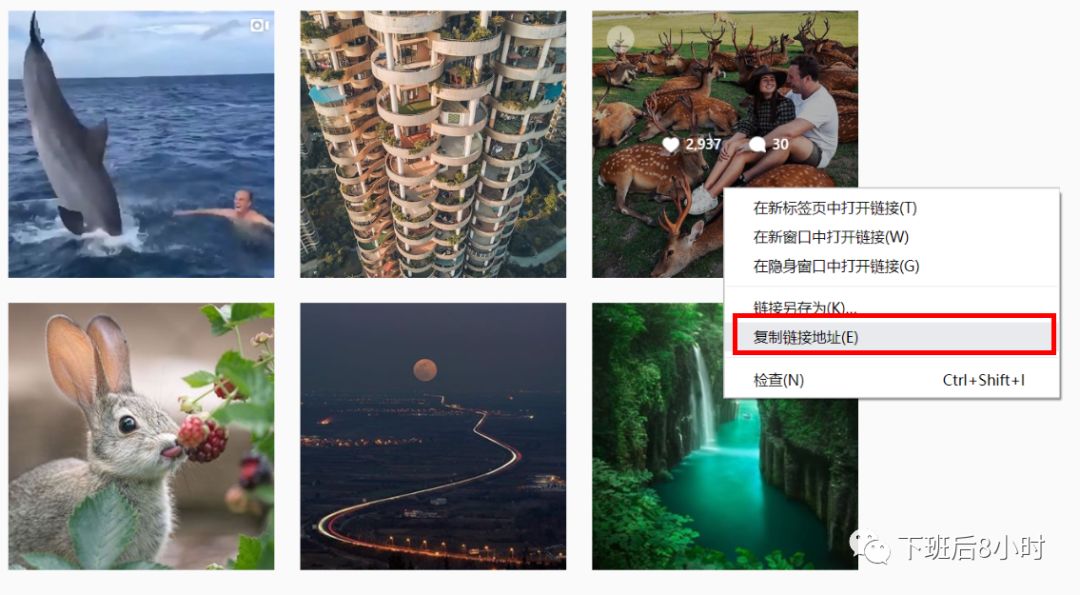 Instagram工具配图 4