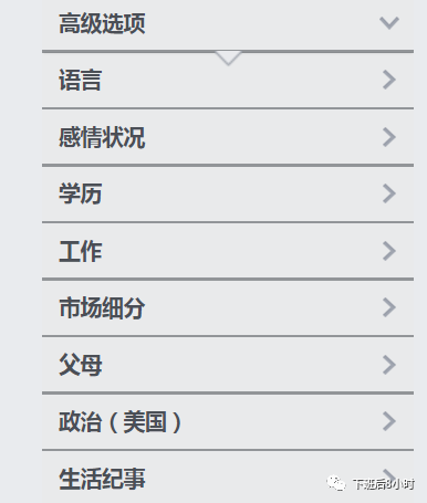 Facebook受众分析配图 17