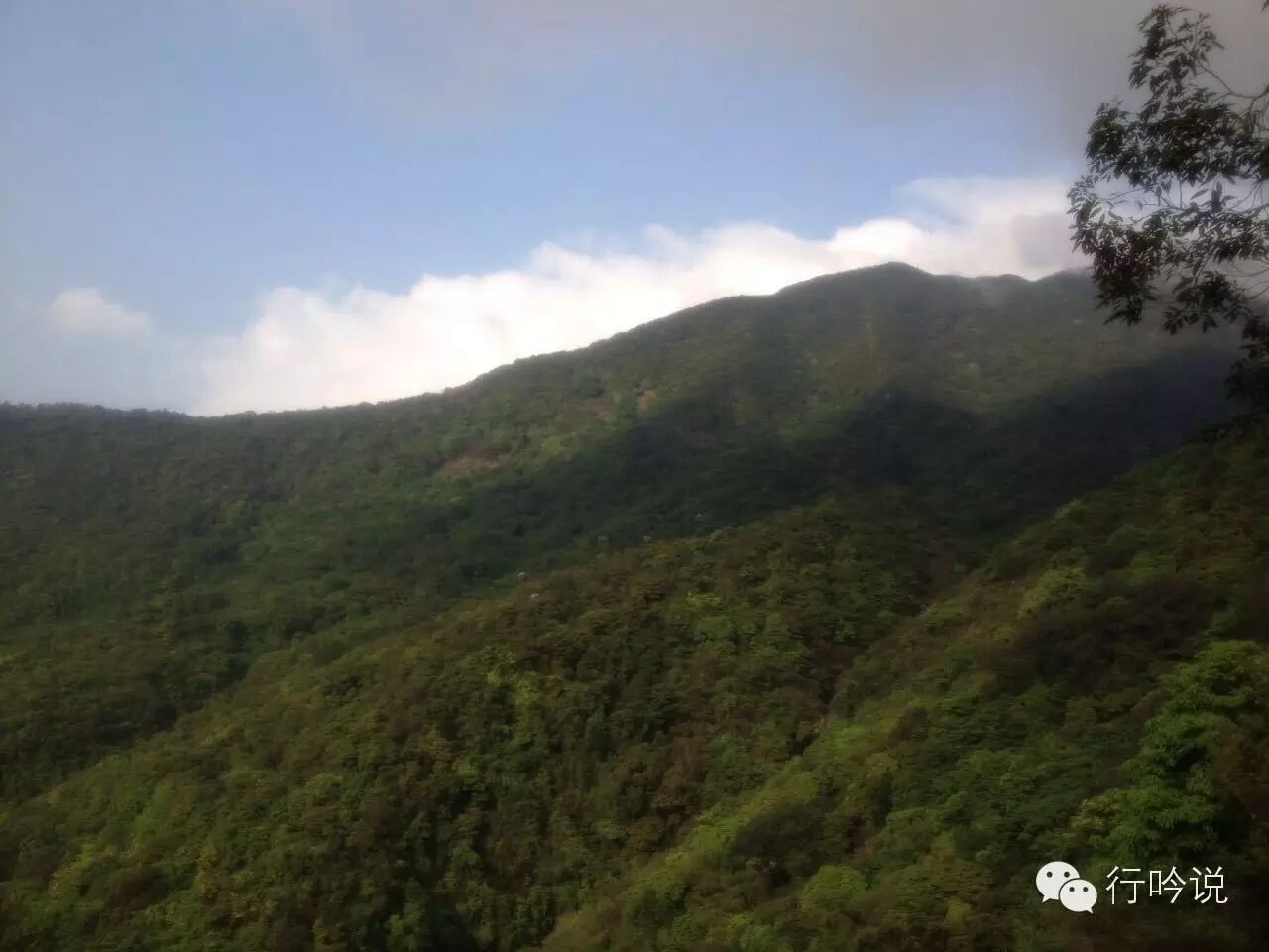 梧桐山游记配图 2