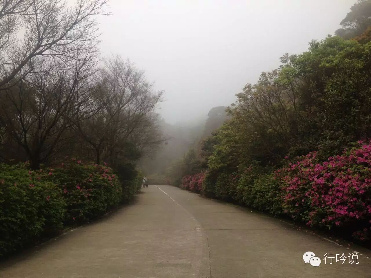 梧桐山游记配图 3