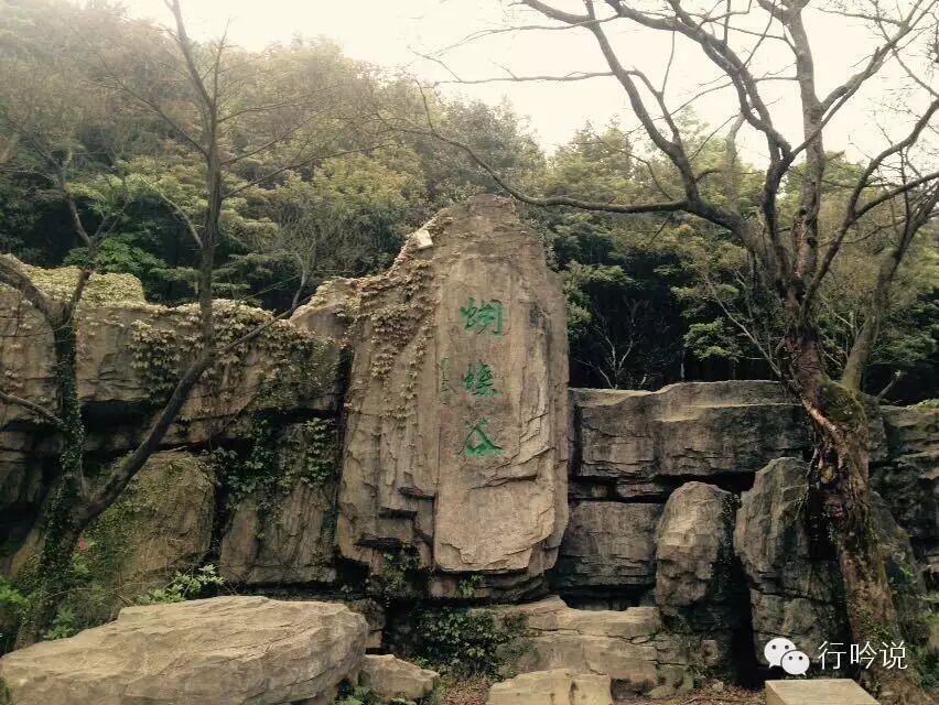 梧桐山游记配图 6