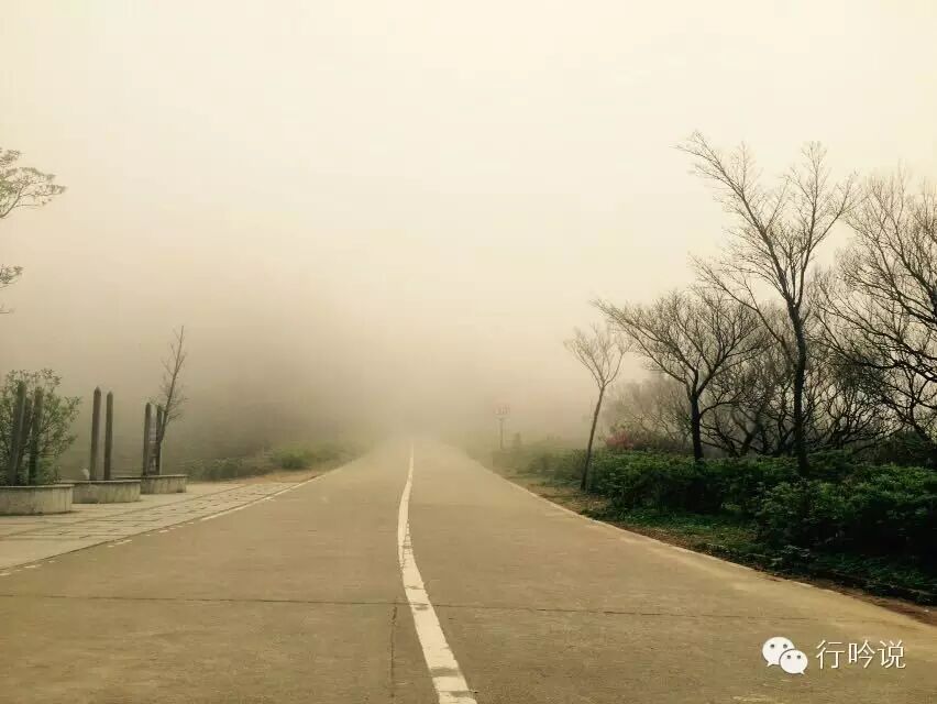 梧桐山游记配图 9