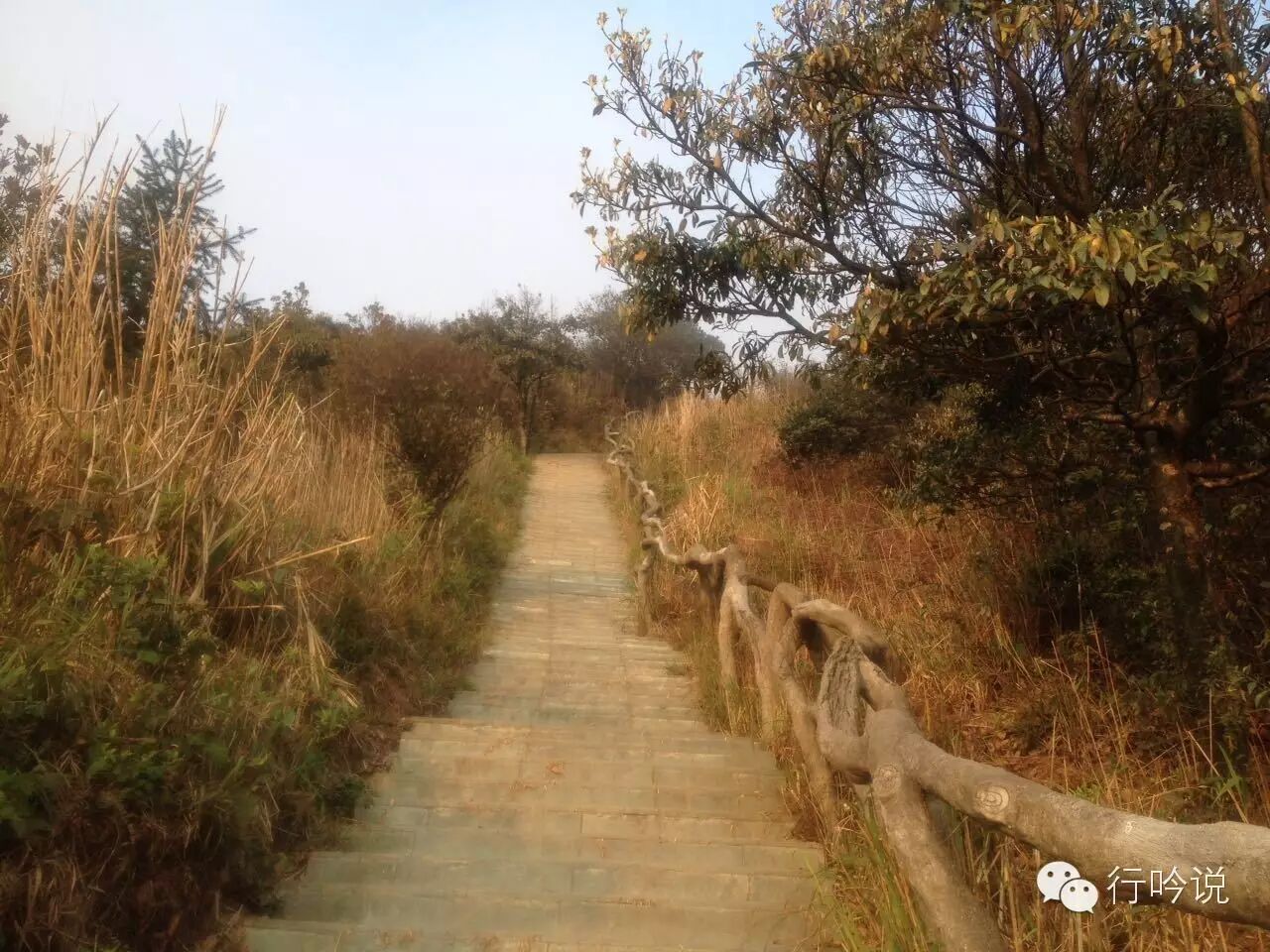 梧桐山游记配图 12