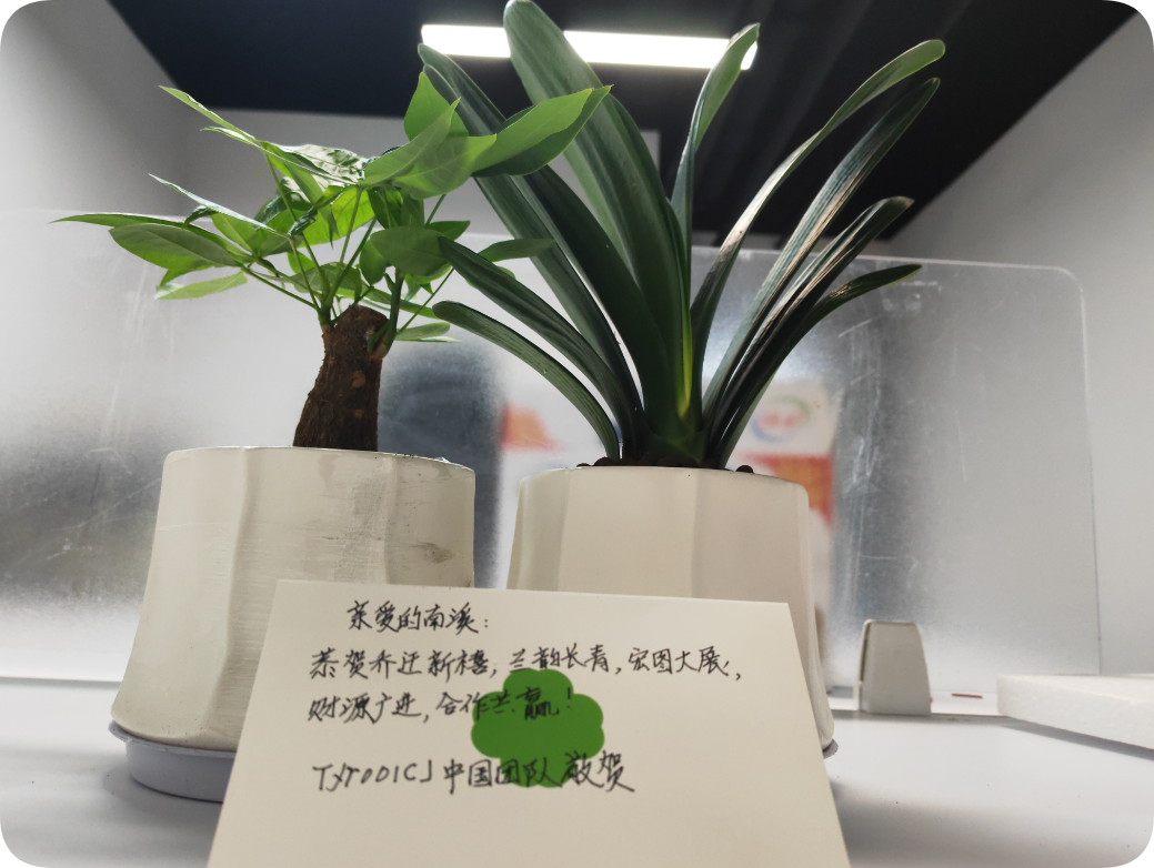 出海指南配图 9