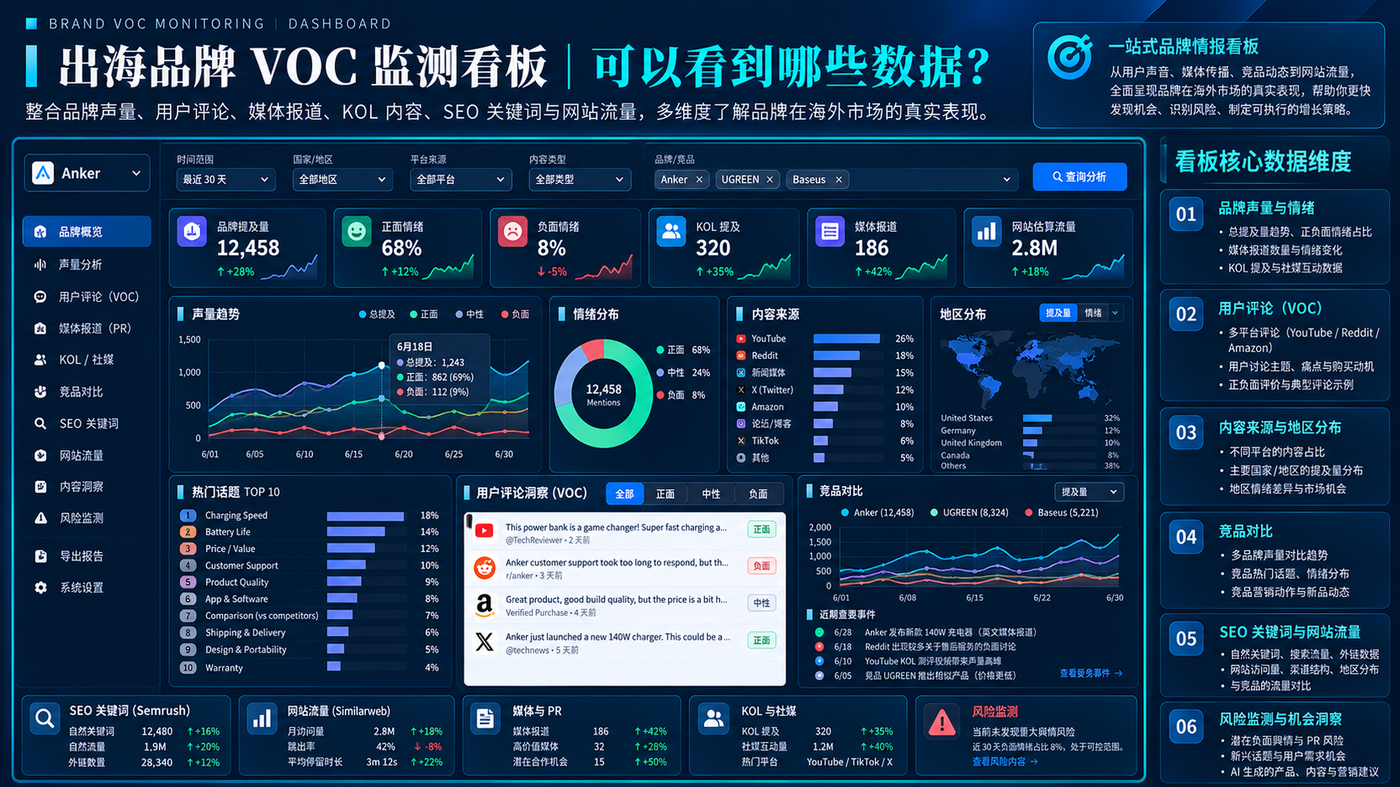 出海品牌 VOC 监测看板（实战演示截图）