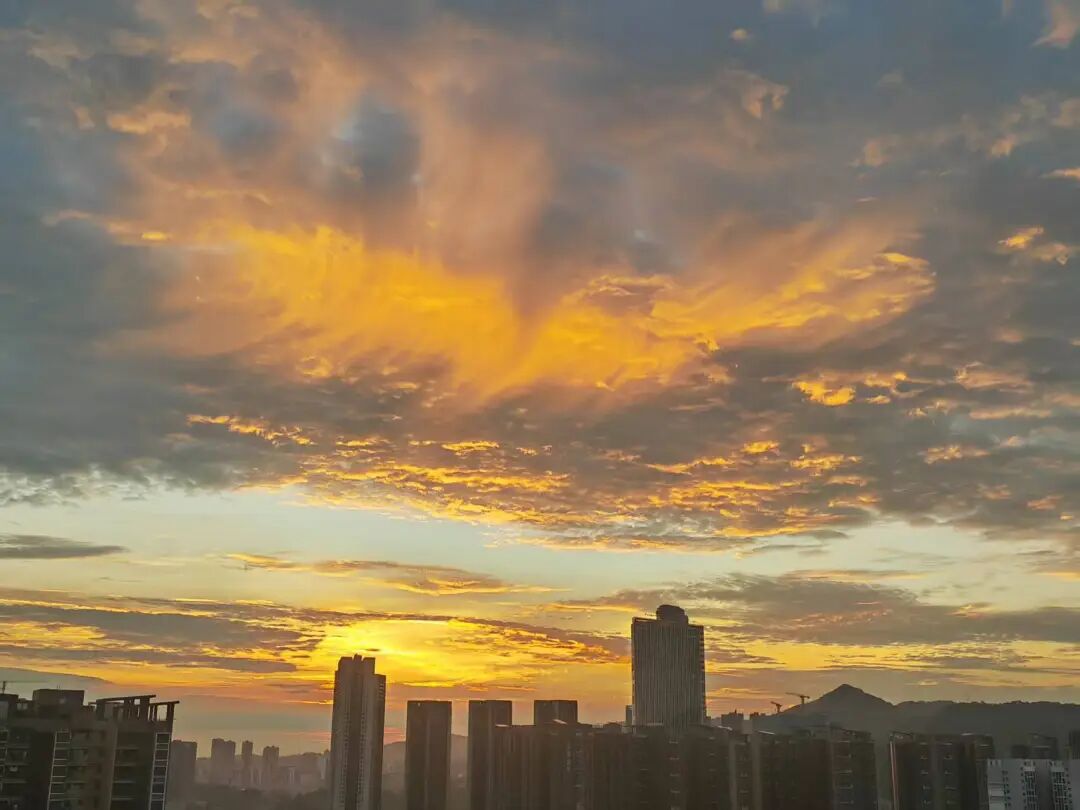 品牌出海配图 3